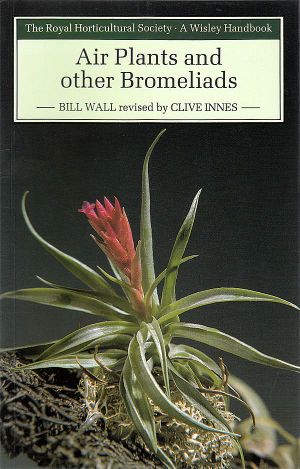 Wall - Air Plants and other Bromeliads.jpg
