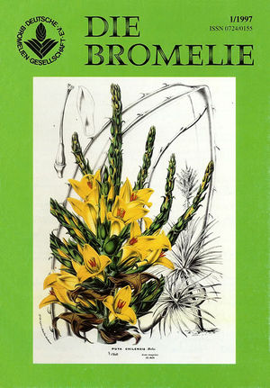 DIE BROMELIE - 1997(1).jpg