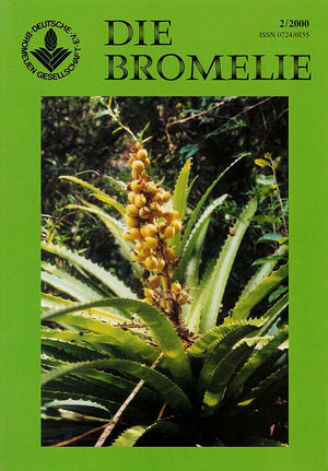 DIE BROMELIE - 2000(2).jpg