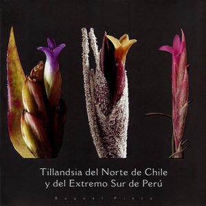 Pinto - Tillandsia del Norte de Chile.jpg