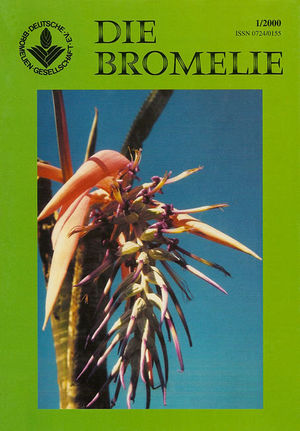 DIE BROMELIE - 2000(1).jpg