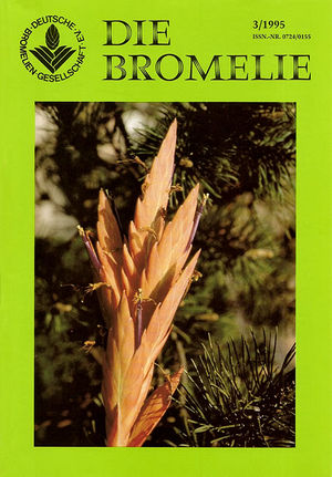 DIE BROMELIE - 1995(3).jpg