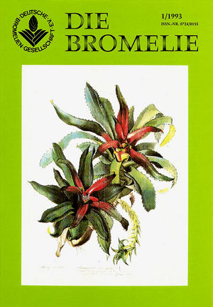 DIE BROMELIE - 1993(1).jpg