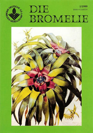 DIE BROMELIE - 1999(1).jpg