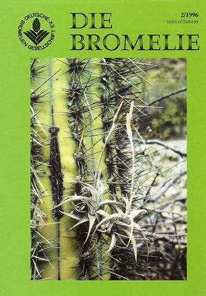 DIE BROMELIE - 1996(2).jpg