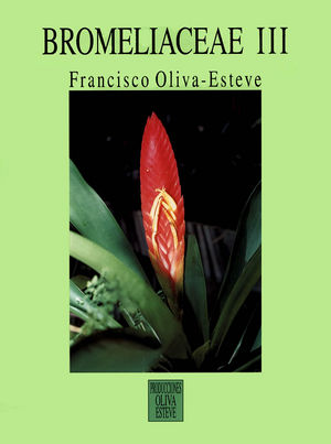 Oliva-Esteve - Bromeliads III.jpg