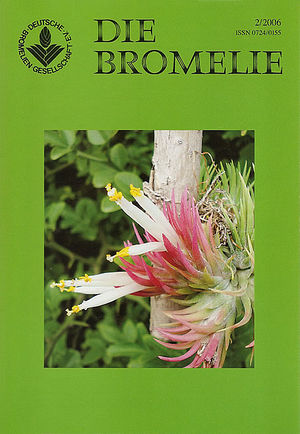 DIE BROMELIE - 2006(2).jpg