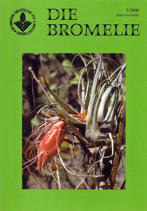 DIE BROMELIE - 2006(3).jpg
